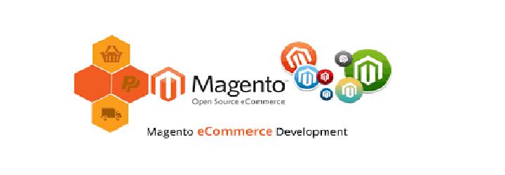 How To Get Your Magento Ecommerce Site Rank High On Google Search Results