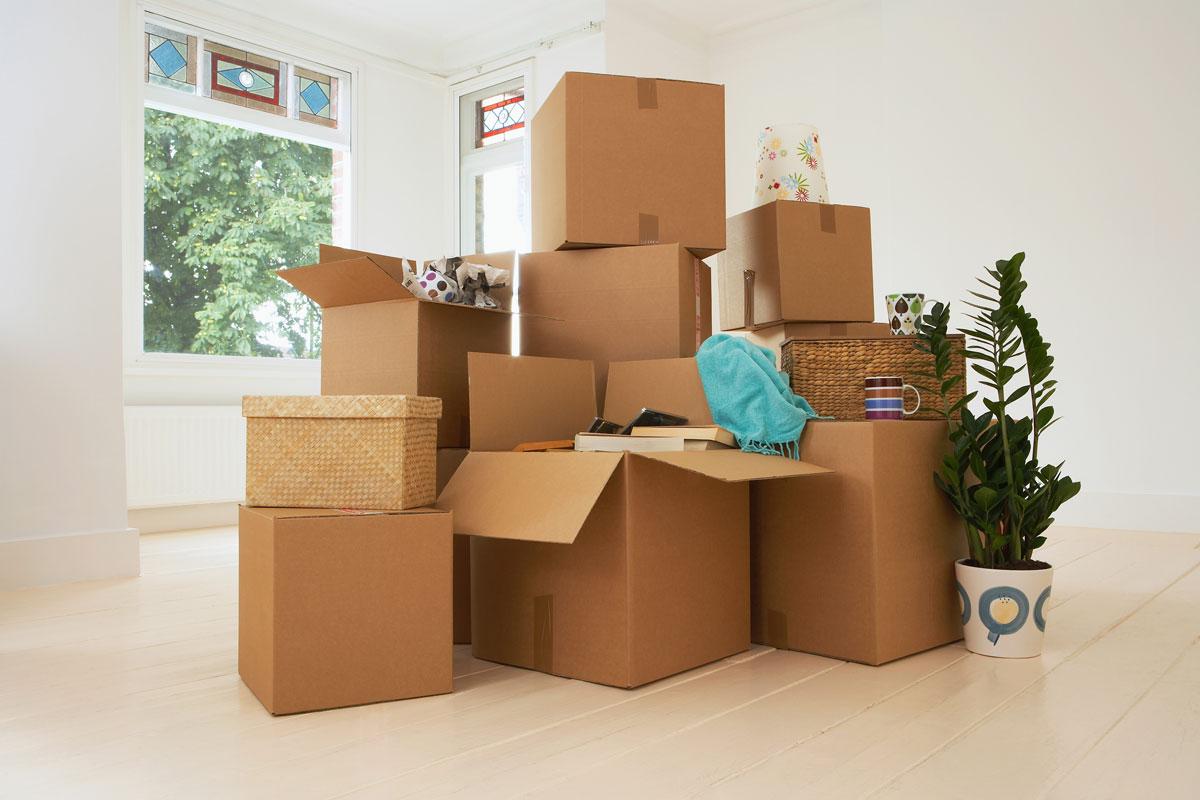 Why you should hire residential relocation services