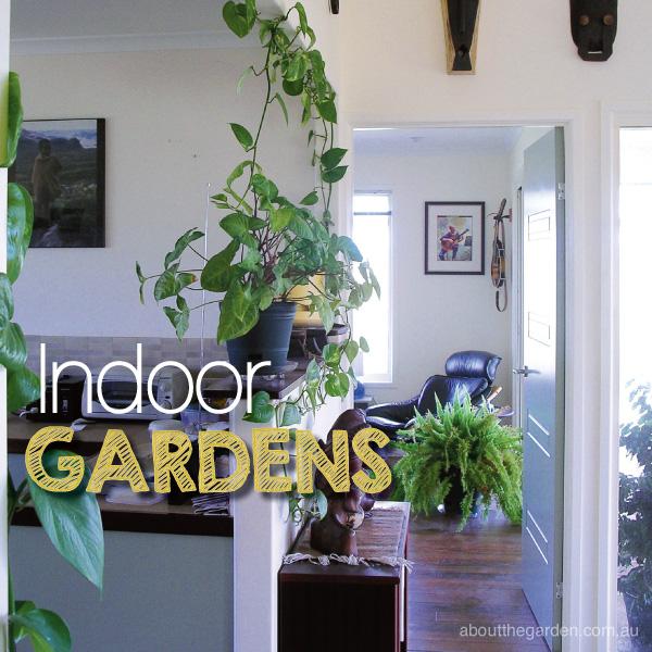 Tips for Decorating Your Home with Indoor Plants