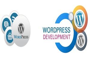 WordPress web development services – Combining creativity and technology with experience