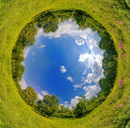Need of Ecosystem Approach for Forest Management