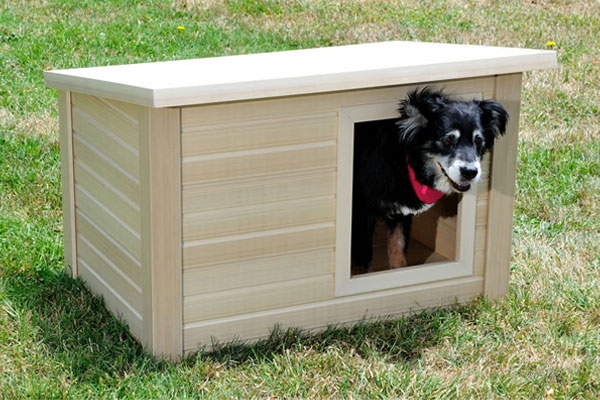 Things to Consider Before Buying a Pet Home