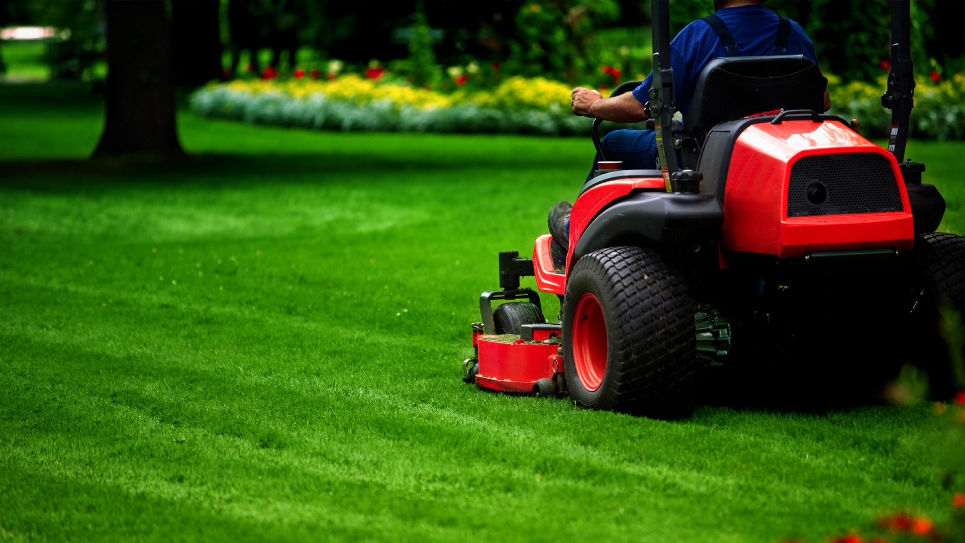 Learn the Primary Lawn Care Tips Before Mastering Advance