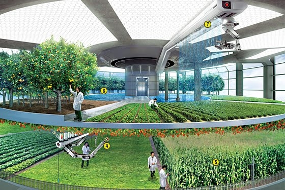 Agricultural Technologies Appearing with the Change