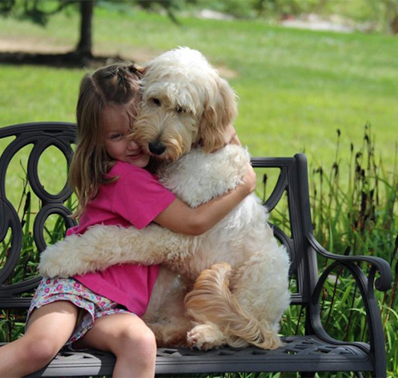 Dog Companionship is More than a Friend to Humans 