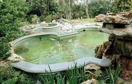 Things to consider building a pond for fishes