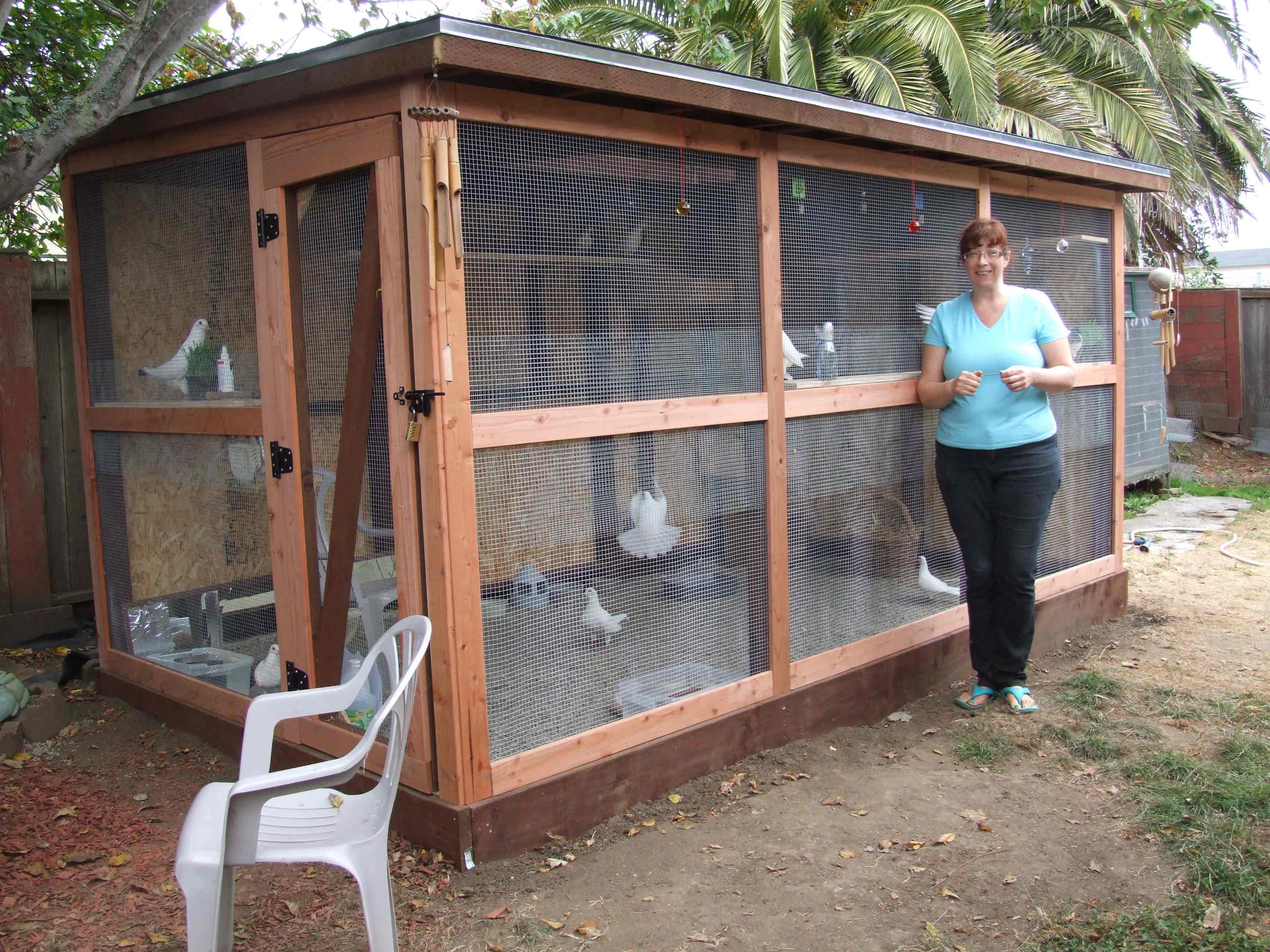 Tips to Clean the Aviaries of Your Pet for Healthy Environment