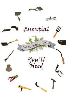 Essential Gardening Tools for Beginners