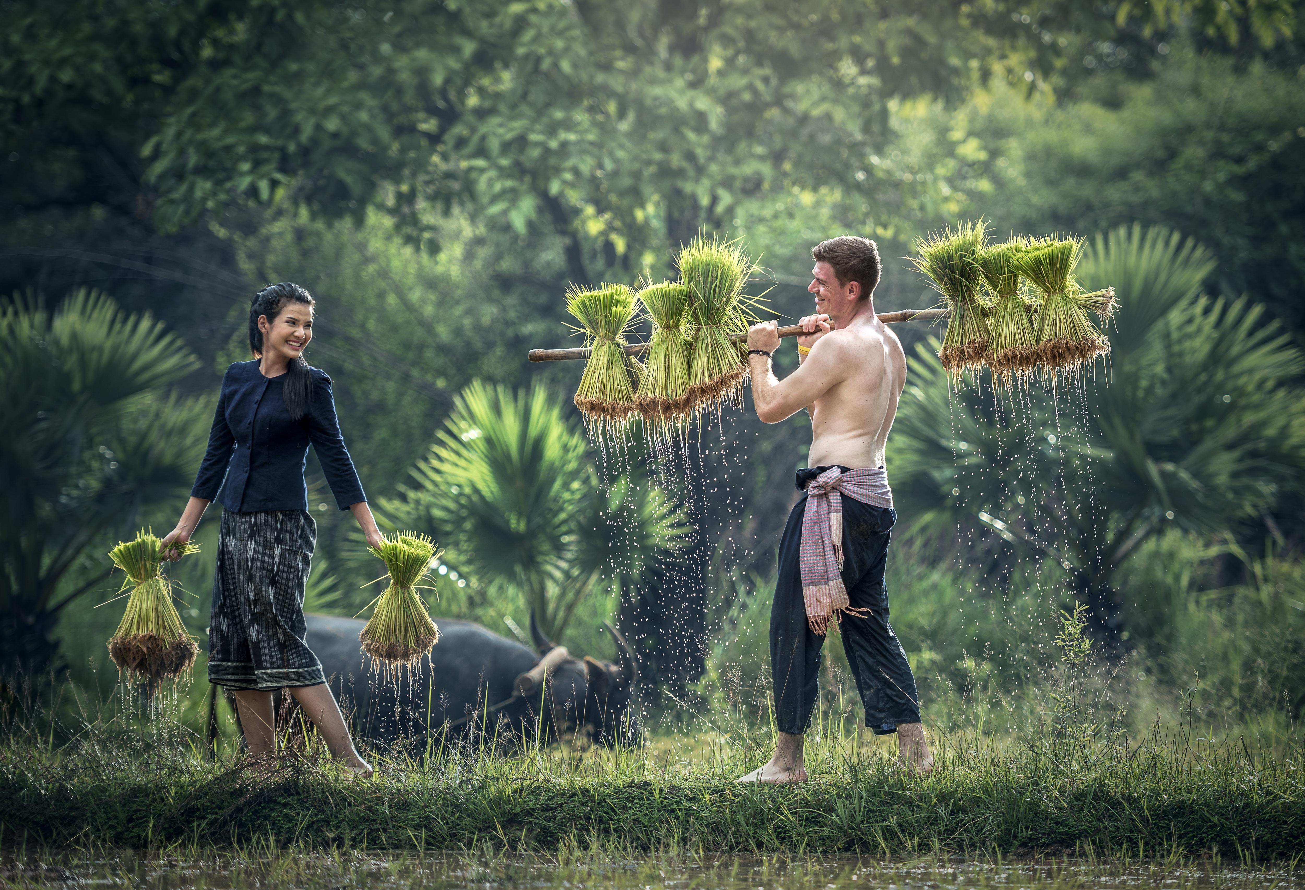 Why One Must Prefer Organic Farming, It’s Benefits