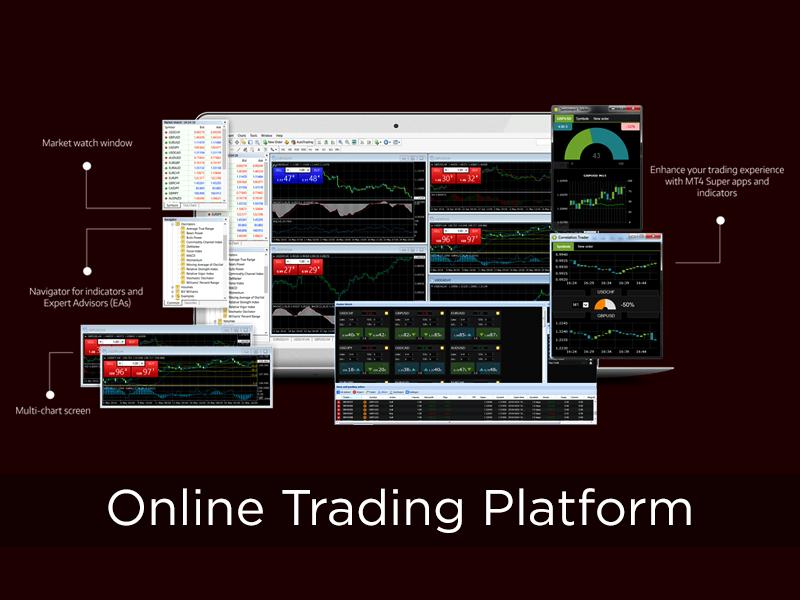 Use the Best Trading Platform and Earn a Big Profit