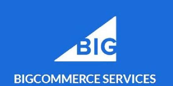 Why Should I Become a BigCommerce Partner With 1Digital?