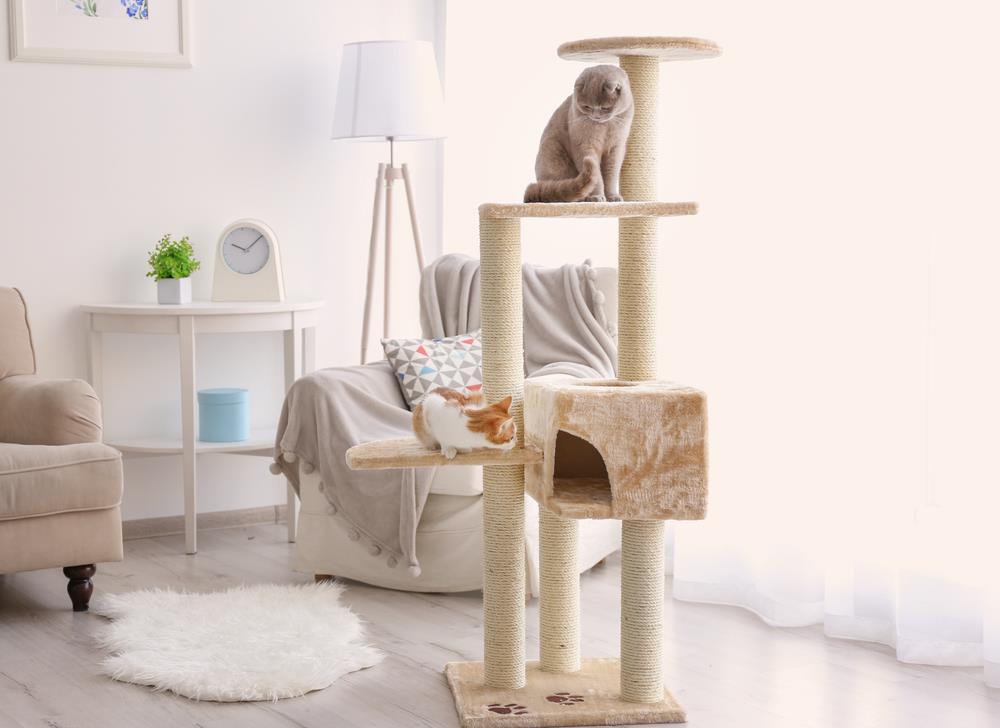 The Perfect Guide to Finding the Best Cat Tree for Your Pet