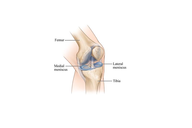 Understanding Injuries of the Knee-Joint