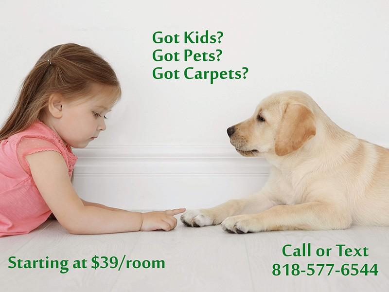 Breathe New Life In Your Carpets And Increase Its Value!