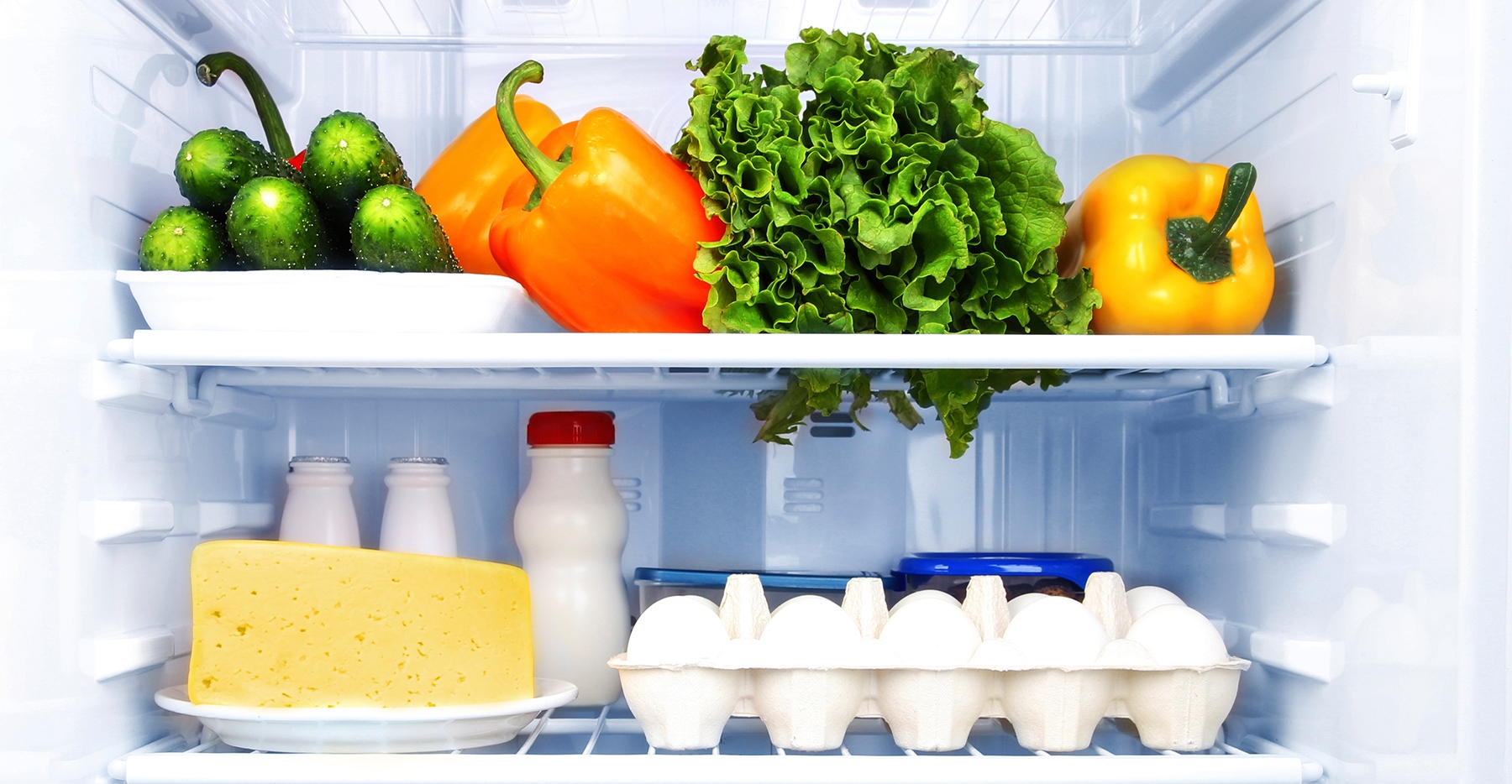 Best 5 Organizers To Help You Store Food in Your Refrigerator