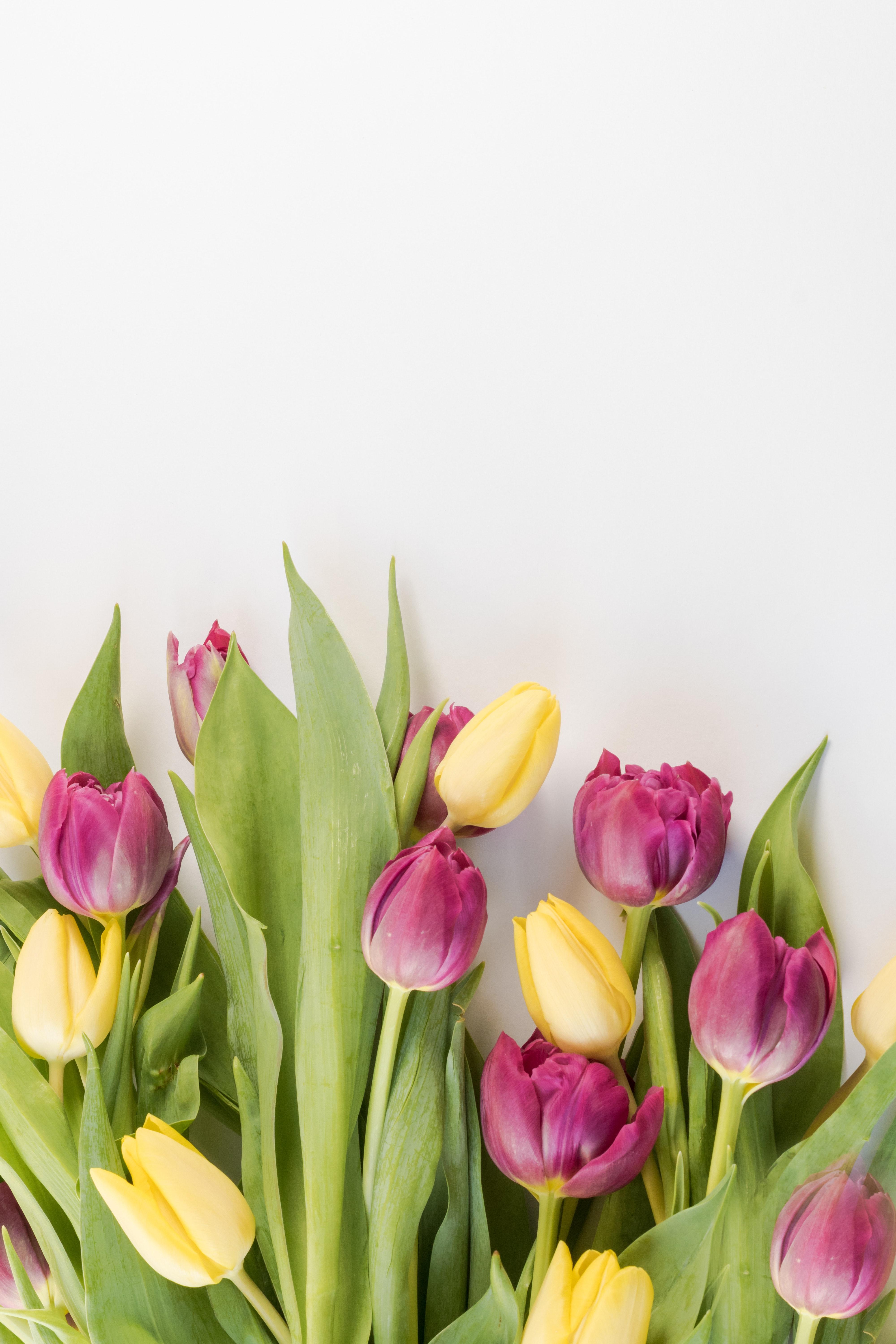 4 Different Flowers For All The Important Women In Your Life