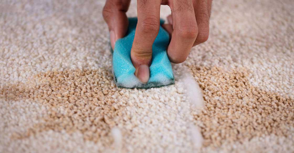  HOW TO DIY TO GET A SPOTLESS CARPET