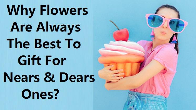 Why flowers are always the best to gift for loved ones?