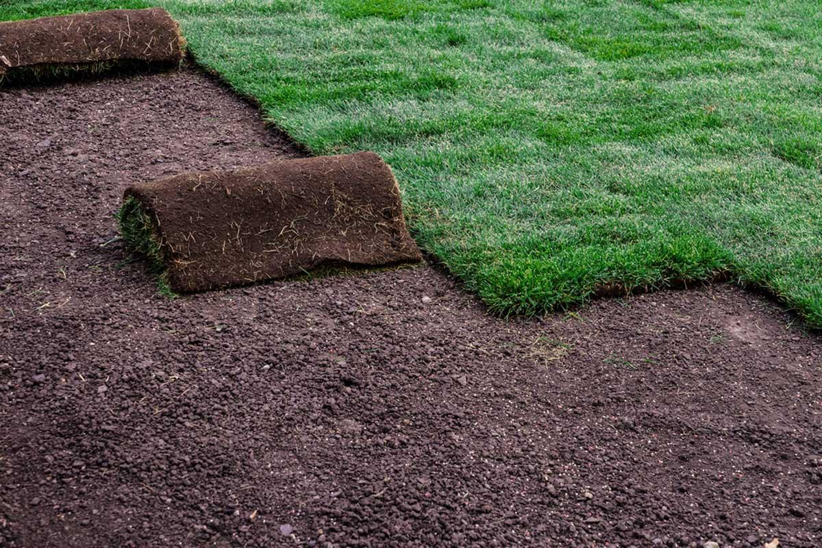 Lawn And Garden Near Me >> Reasons Why You Need To Try To Find Sod Near Me Lawn And Garden Near Me >> Reasons Why You Need To Try To Find Sod Near Me