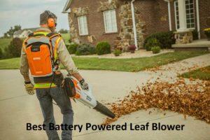 Leaf Blower and Vacuum - A Very First Time Purchasers Guide