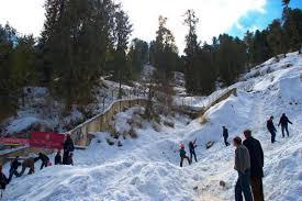 5 Things to Do in Your Shimla Manali Trip 