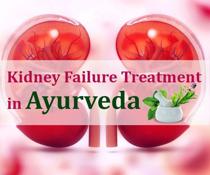 Guide to Kidney Failure and Ayurvedic Methods for the Treatment