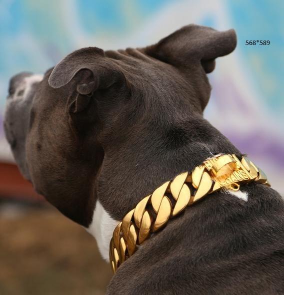 Personalized Dog Collar with Name features reviews 2020