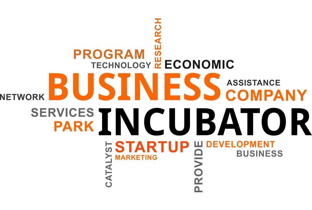 Give Shape to your Idea via a Business Incubator