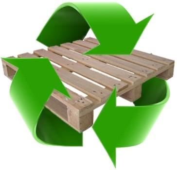 Green Businesses and Paper Pallets 