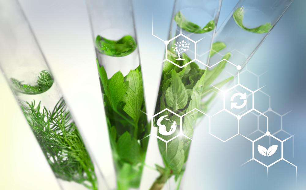 Ten Ways Biotechnology is making the world more sustainable