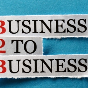 Steps to Improve and Maintain Online B2B Marketing 