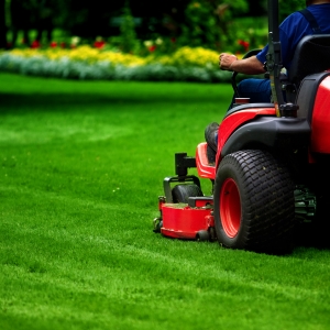 Learn the Primary Lawn Care Tips Before Mastering Advance