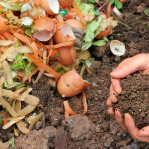 Compost Waste by Yourself & Grow Organic in Your Lawn