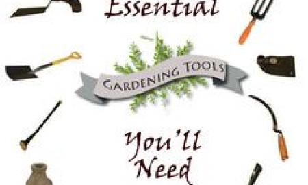 Essential Gardening Tools for Beginners