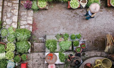 Tips & Techniques to Have More Productive Vegetable Garden