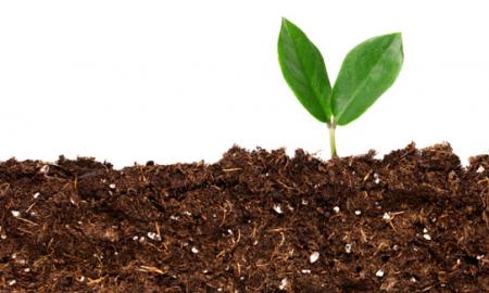 Simplest Way to Begin Composting