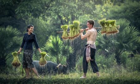 Why One Must Prefer Organic Farming, It’s Benefits