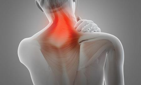 Scoliosis Treatment Guide By Chiropractic Denver Back
