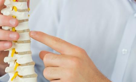 8 Best Chiropractors in 2017