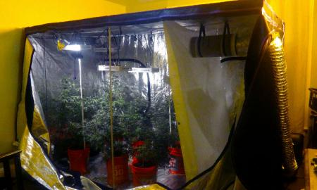 Technology is taking over sunlight - Indoor plantation is possible with Grow tents
