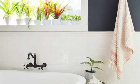 4 Ways Your Bathroom Environment Can Effect Your Health