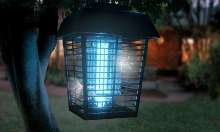 Do Bug Zappers Work on Flies?