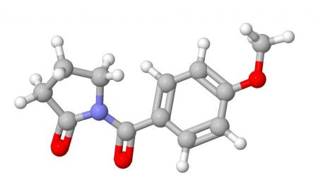Aniracetam therapy for epilepsy treatment