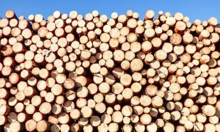 Some Wood Joinery Works You Should Know