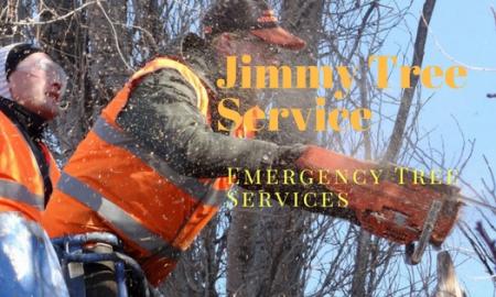 Benefits Of Hiring Tree Service Shelby Charter Township MI