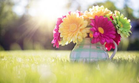 7 Flower Colors And What They Actually Symbolize