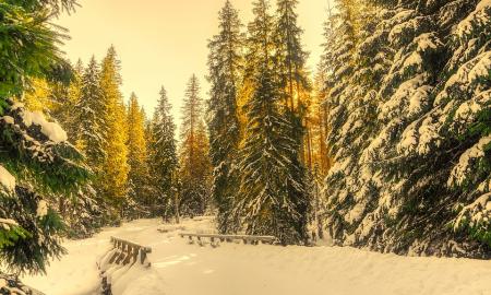 Top 10 Coldest Countries in the World