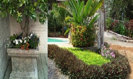 Plant Services to Brighten Up Your Space