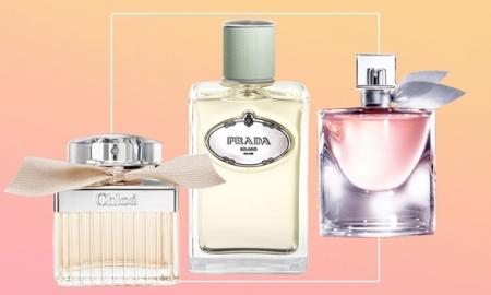 How to Curate the Perfect Perfume Wardrobe