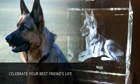 Capture a Memory with Crystal Prints